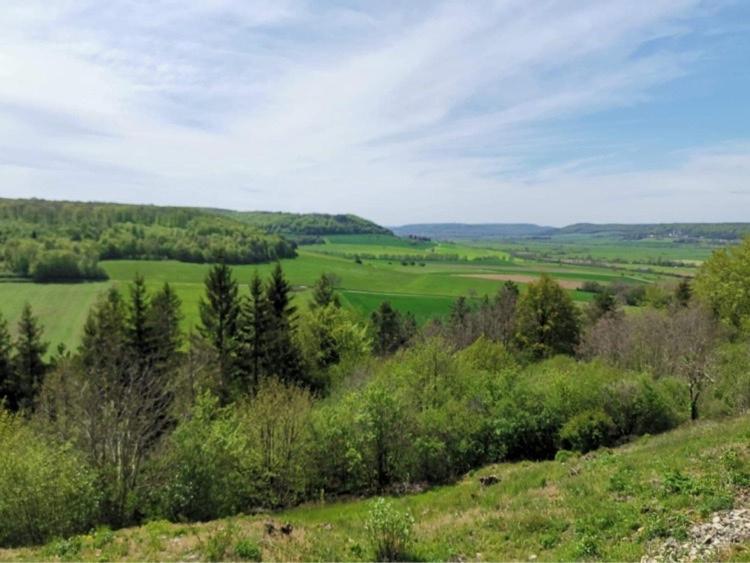 Le Nid D'Alex Spa , Rando Et Table D'Hote Autigny-la-Tour Экстерьер фото